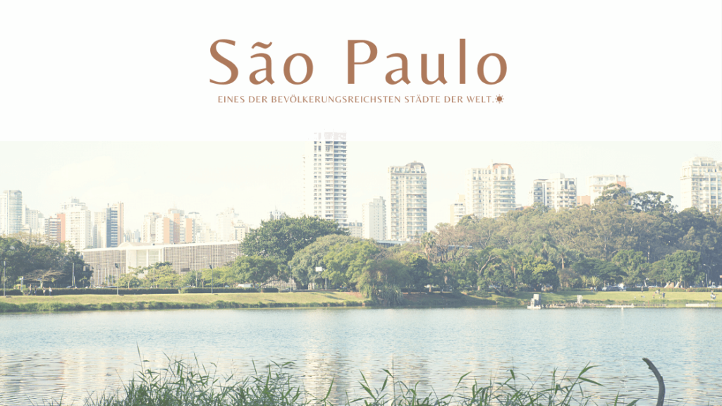 São Paulo Reisebericht — Brasiliens Megacity Tipps & Highlights