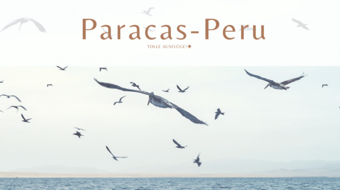 Paracas Peru