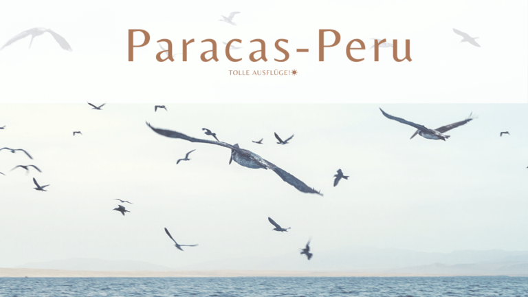 Paracas & Huacachina — Wüstenoase in Peru