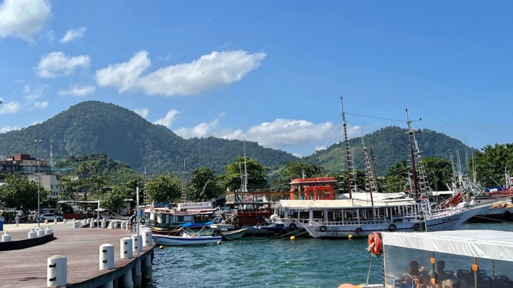 Harbor with excursion boats in front of green mountains on the Costa Verde