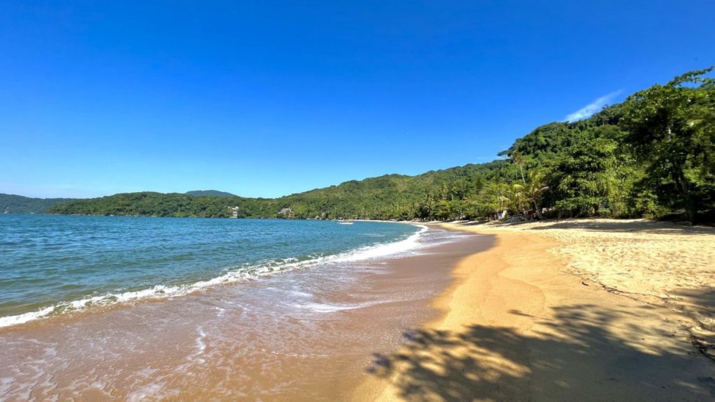 A deserted sandy beach with clear water and a wooded headland.