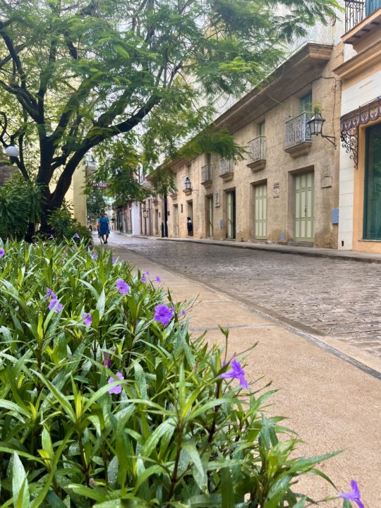 IMG_1256 Cobblestone street with flowers in the old town of Havana