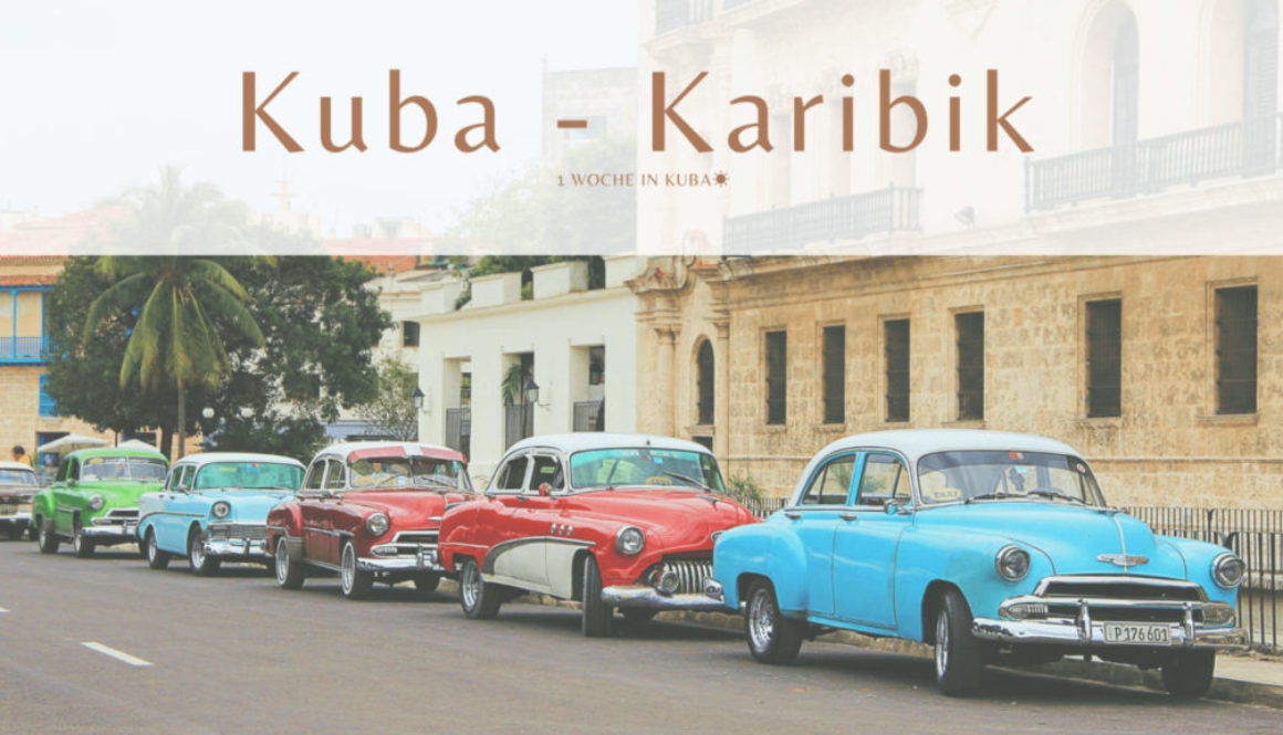 KUBA Banner