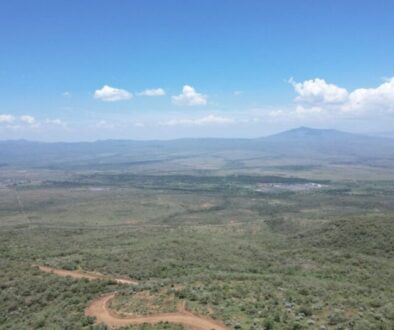 janet-vfix-kenia-3093