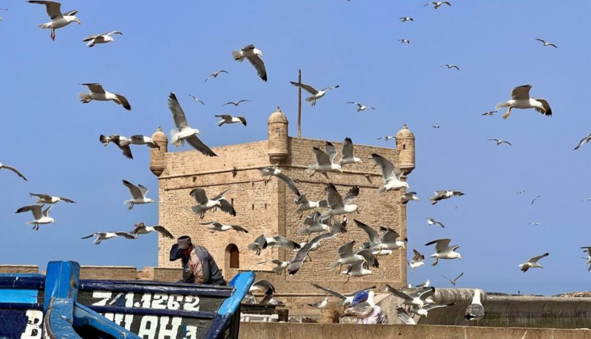 Skala de la Ville in Essaouira with seagulls above blue fishing boats