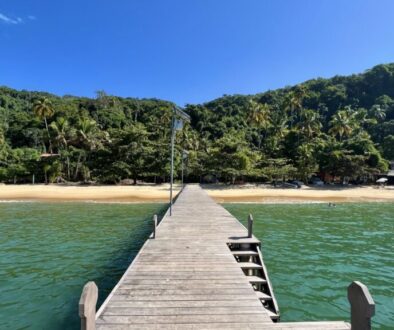 Wooden walkway to a sandy beach with palm trees on Ilha Grande